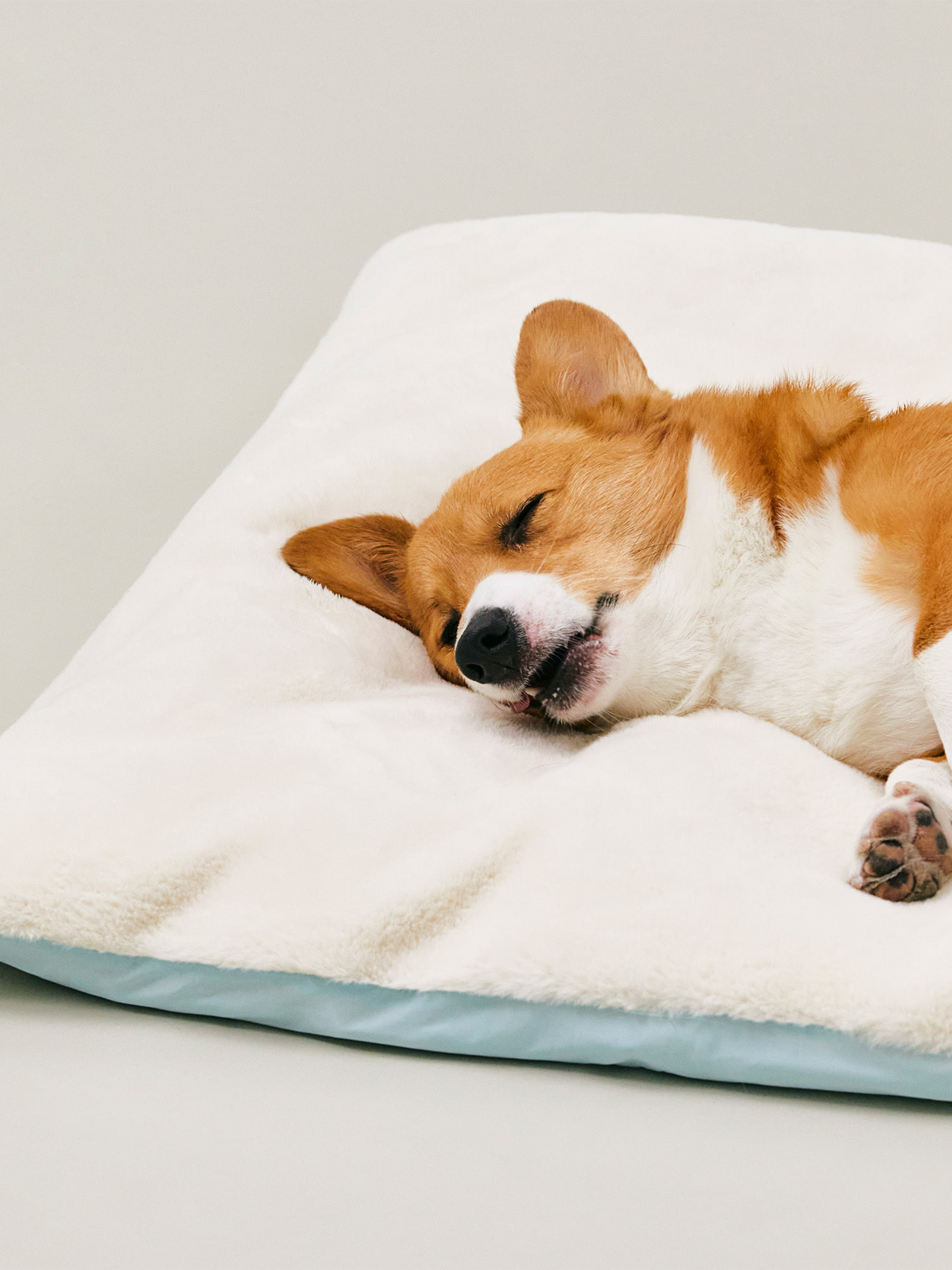 寵物蜜糖被墊 Sleeping Blanket